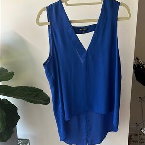 Express Women's Blue Sleeveless Top